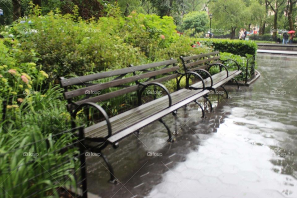 Central Park Bench