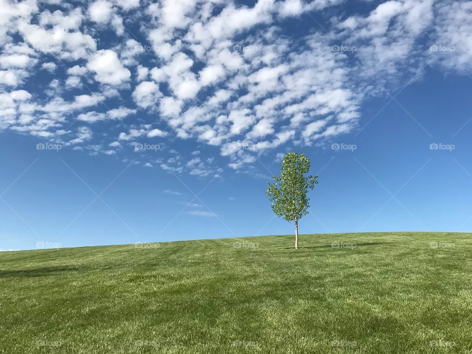 Endless 