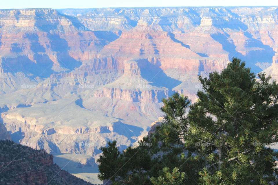 Grand Canyon View