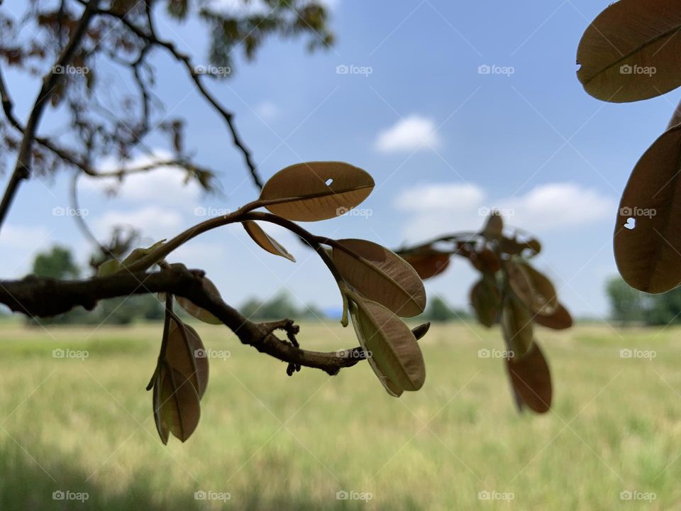 Editors ‘ choice : Photo of the week, Countryside.