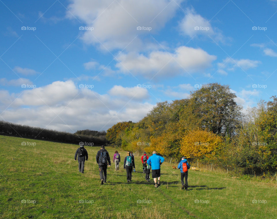 walking in fall / autumn. a group of hikers of various ages walks through a field, yellow leaves on the trees
