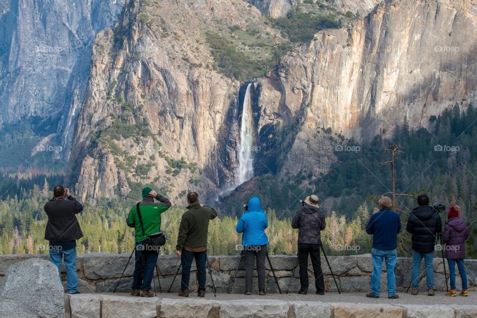 Photographers in action at Yosemite 
