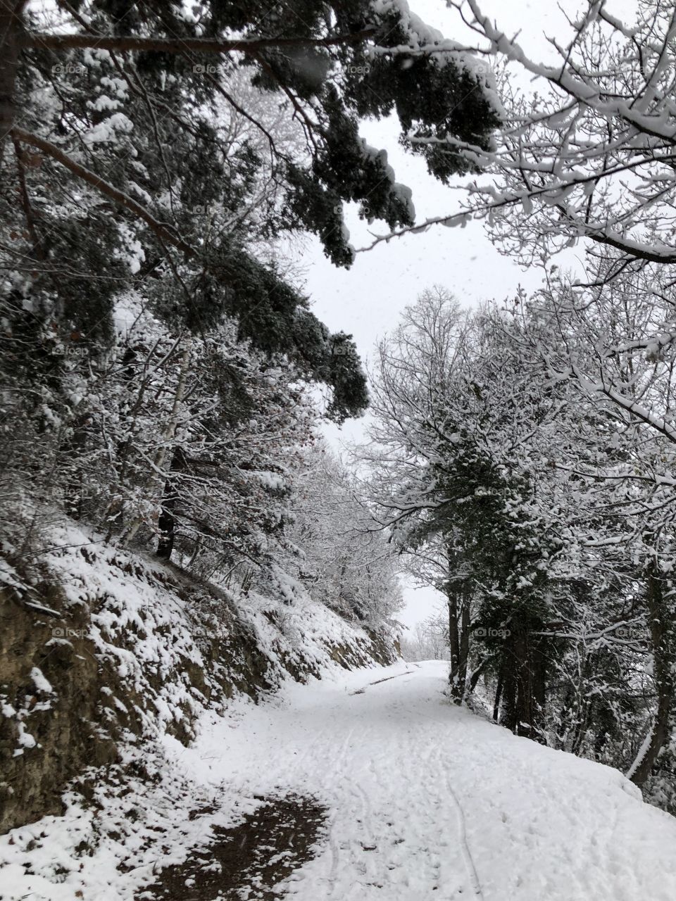 The best travel for me is when i lost in my Mountains