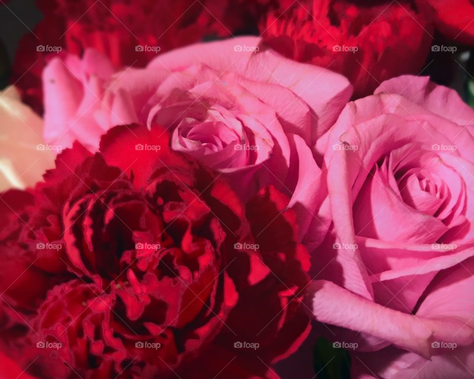 Pink Roses and red carnations 