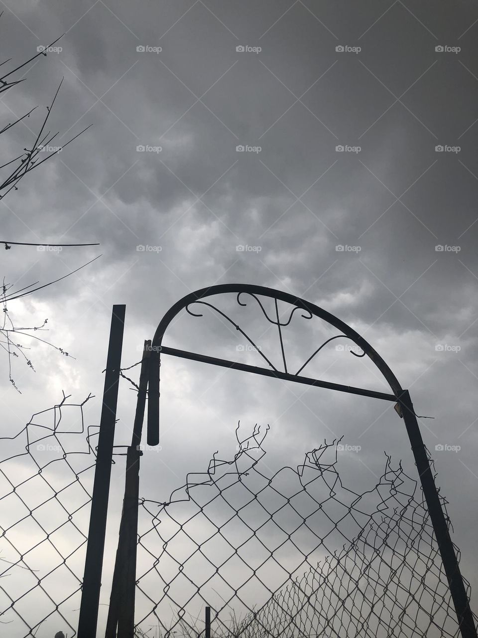 A picture of a garden gate