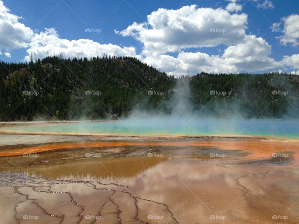 Prismatic Springs