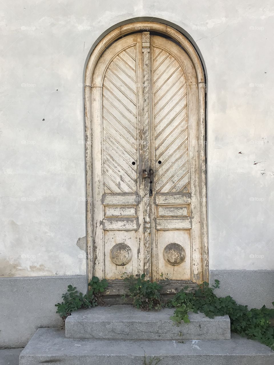 Closed and abandoned door