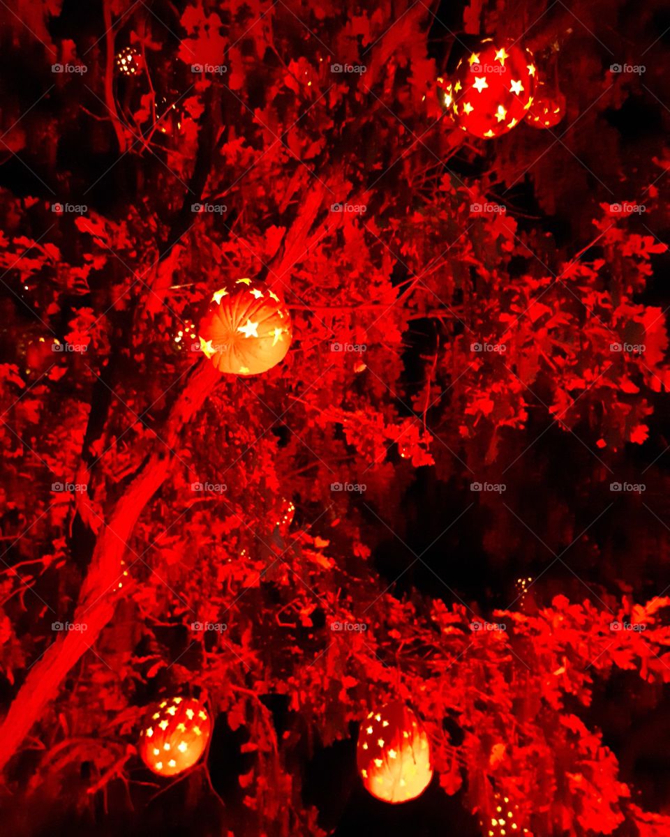 red treevening