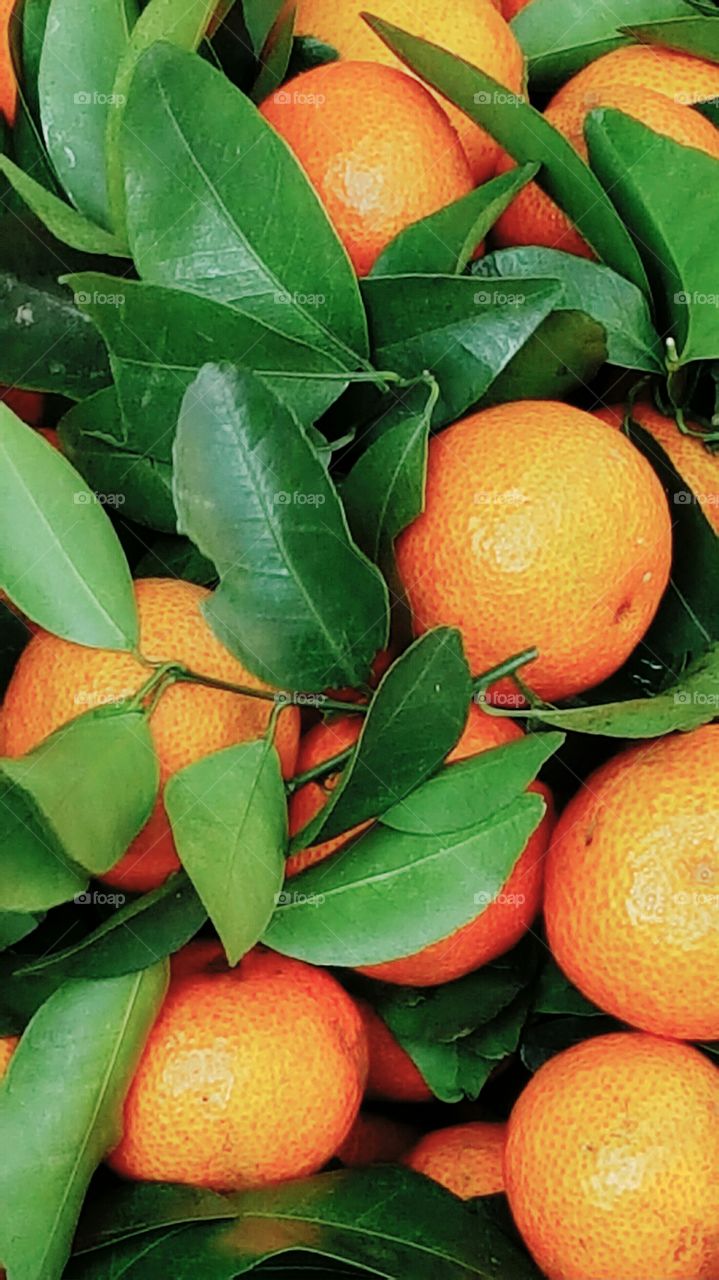 oranges