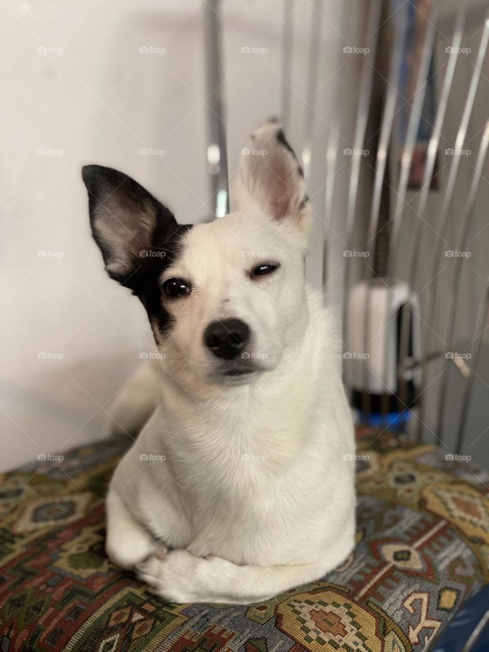 what's going on here? 🙃