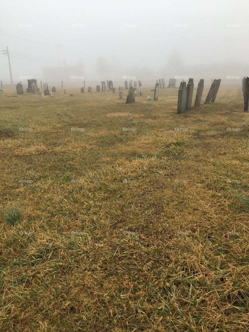 Foggy graveyard