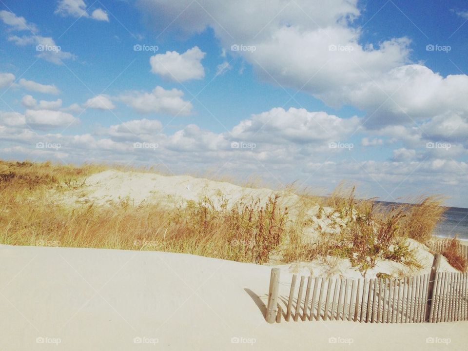 Summer Dunes