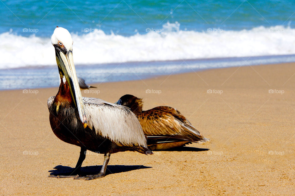 beach ocean nature outdoor by kbuntu