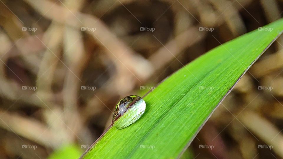 Why water drops always on the edge !