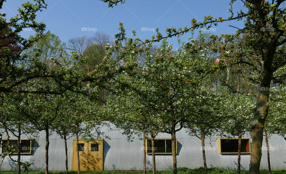 Steel construction in a park in Antwerp, Belgium.