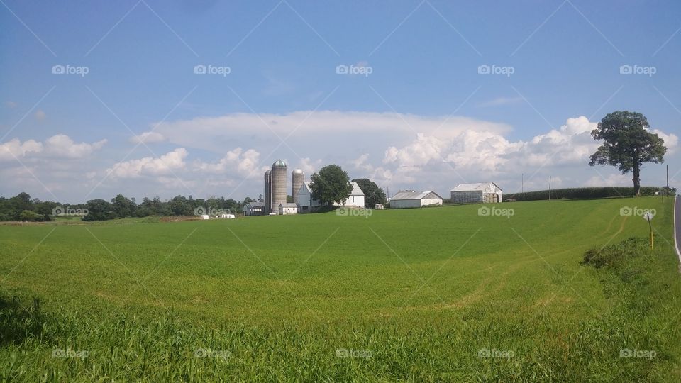 farm and clear sky