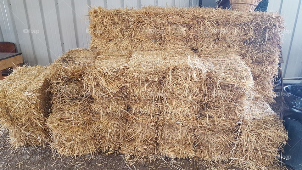 Hay in the Fall season