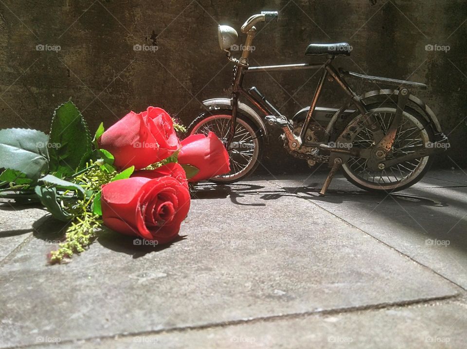Bicycles and roses symbolize love
