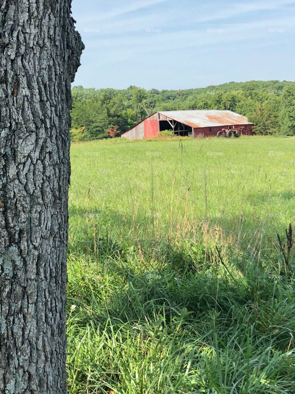 Country life 