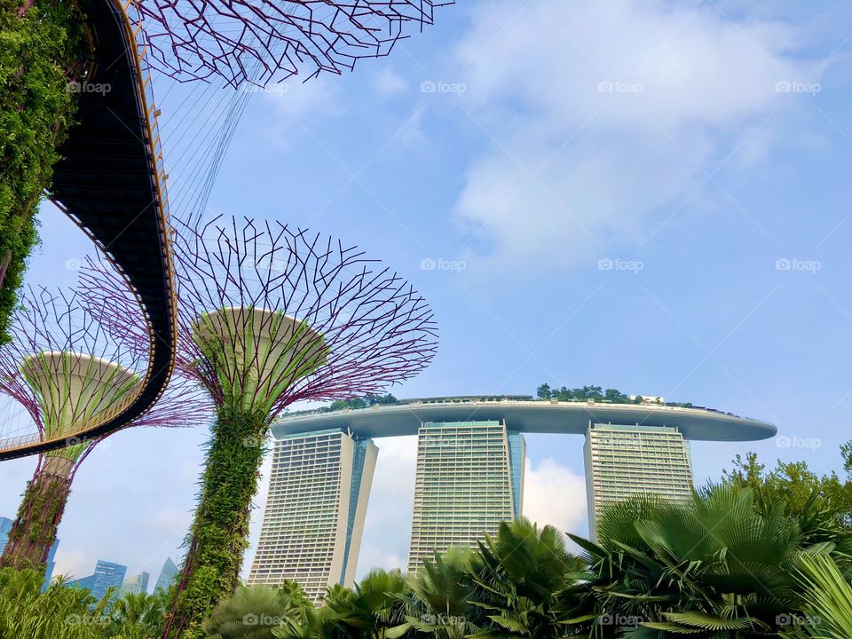 Standing in the Gardens of the Bay, while looking up at the Marina Bay Sands hotel in Singapore