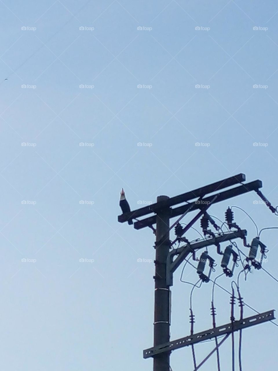 natureza x metrópole