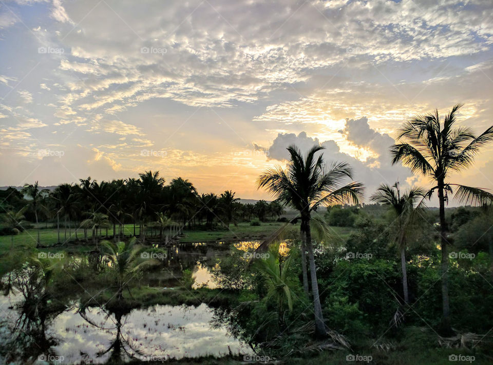 sunset in kerala