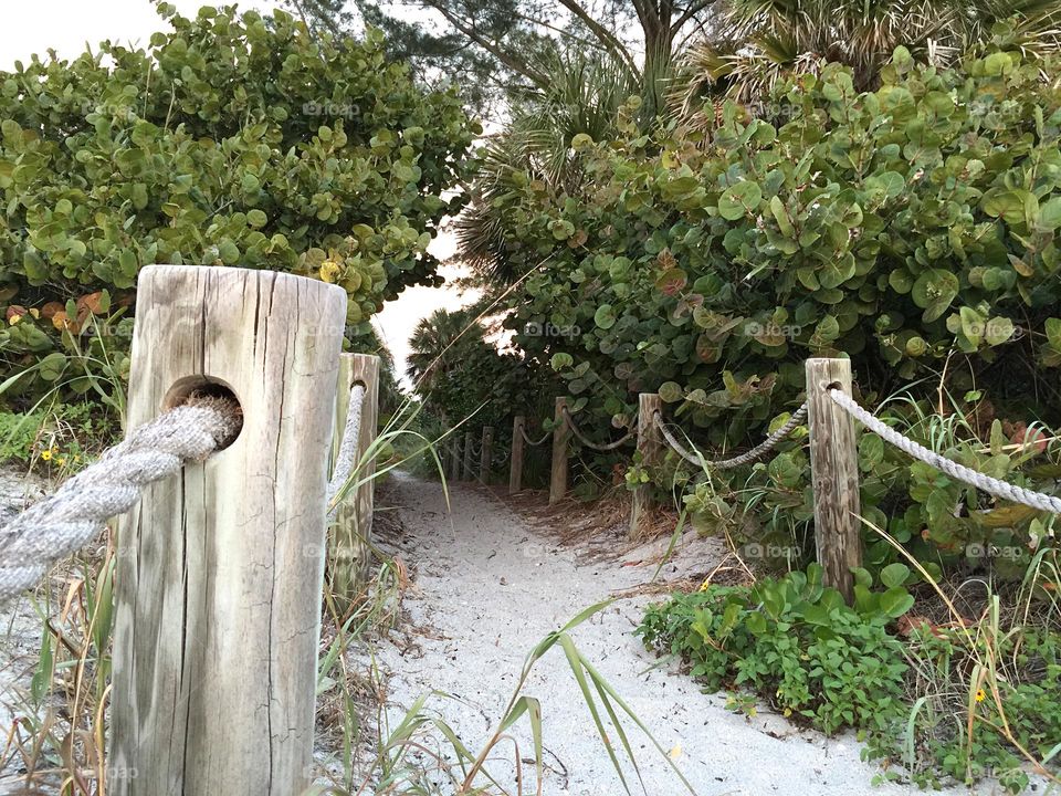 Wooden pilings lining a trail to the beach.