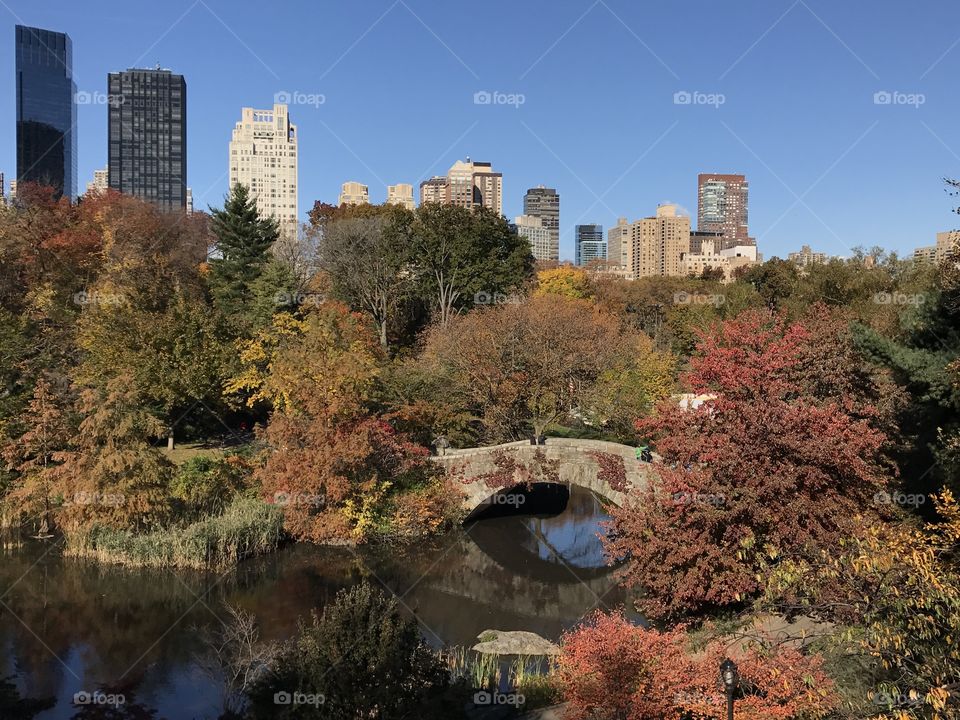 Autumn at Central Park. #NYC #Fall CentralPark
