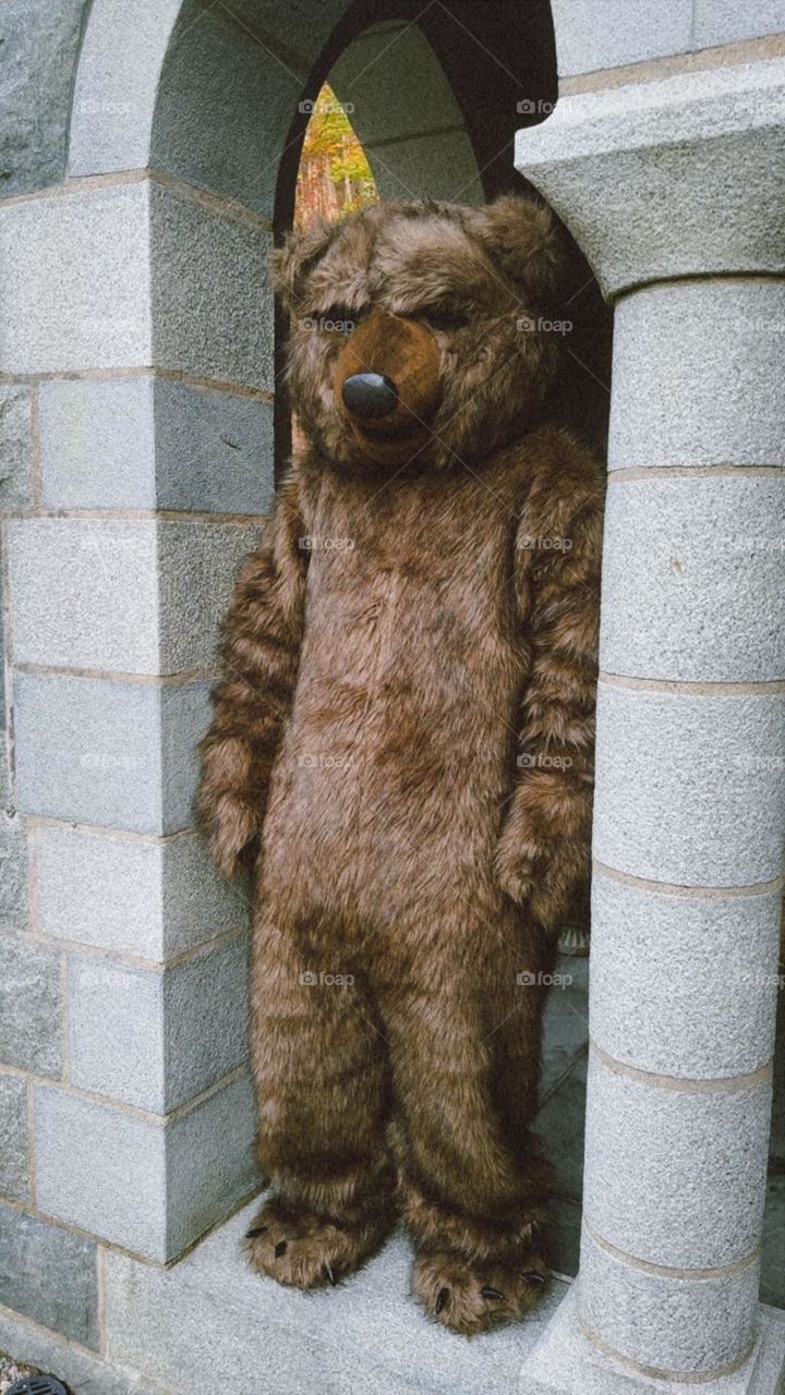 Bear Costume