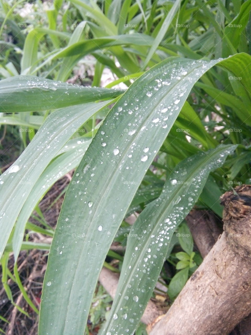 A great photo, a photo for everyone,a memorable photo,a no.  photo,a photo to cherish,a beautiful photo,a great photo for the best people,an evergreen photo,a photo to remember for years, the best result of great photography