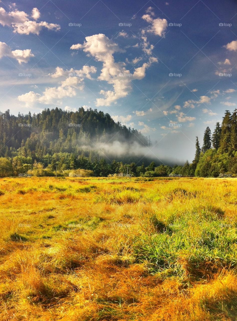 Yosemite 