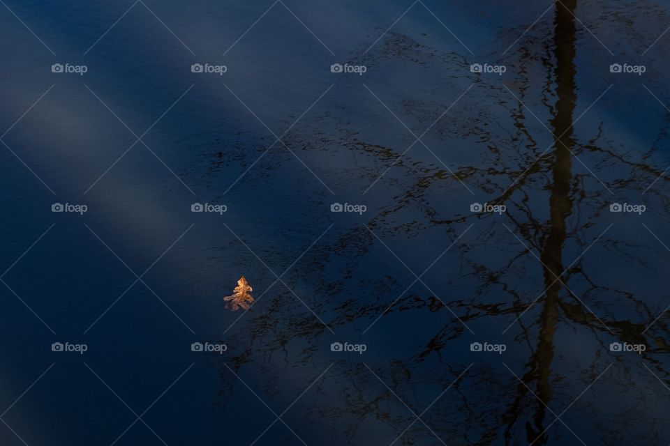 A single leaf floats peacefully in a creek across the reflection of a tree. Could signify going with the flow, enjoying the ride, and destination unknown.