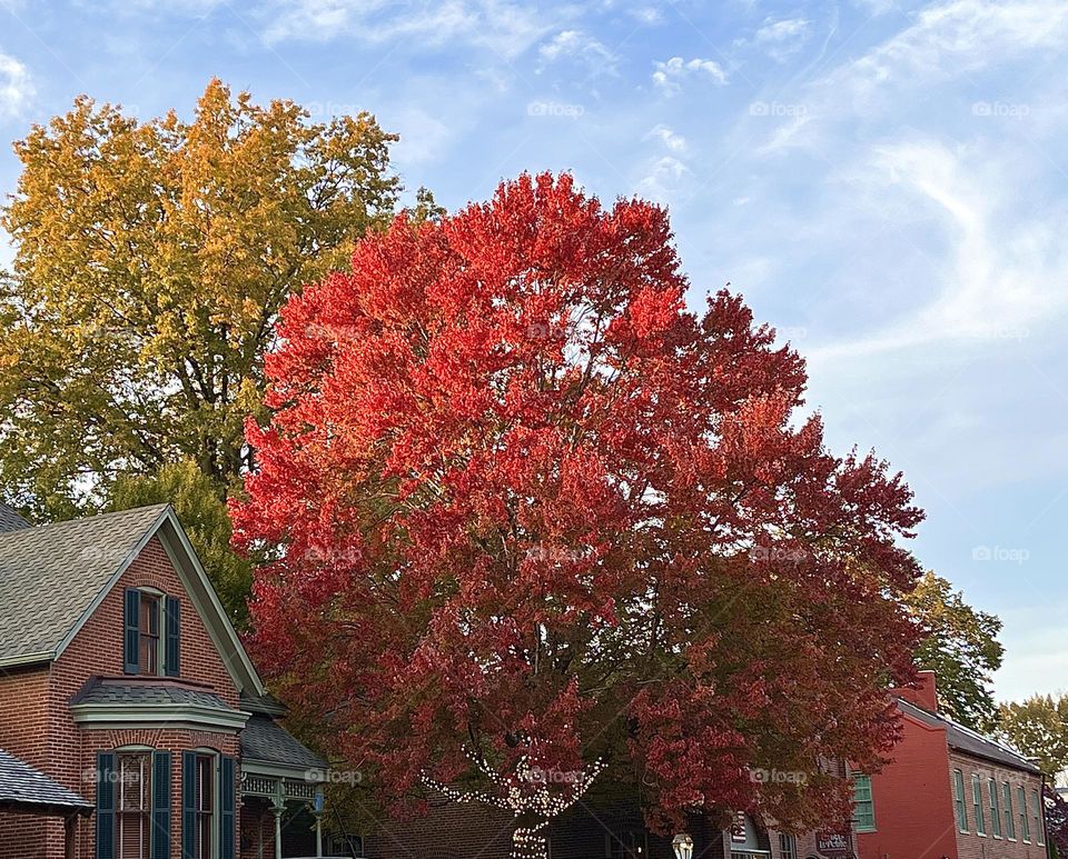 Autumn in the Midwest