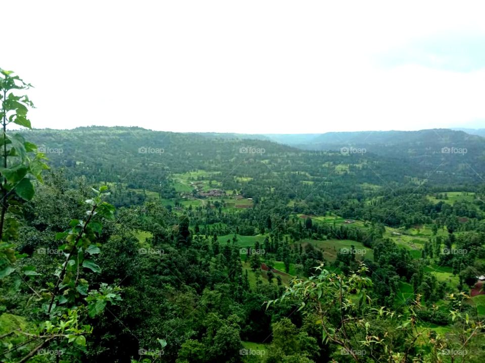 so natural and beautiful place so silent village place in India it's a situated in Gujarat forest area place pindrop silent place I love this place