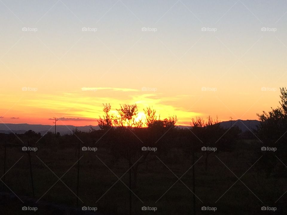 Sunset on field.