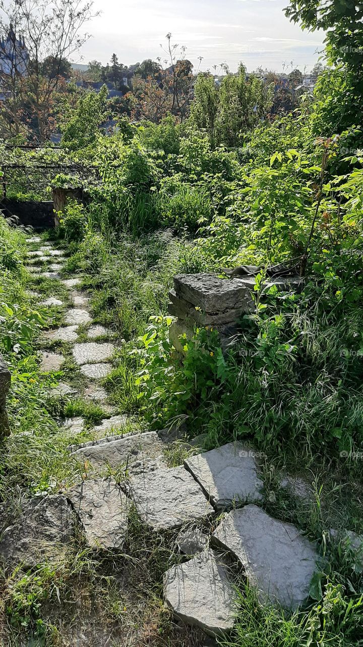 stone path