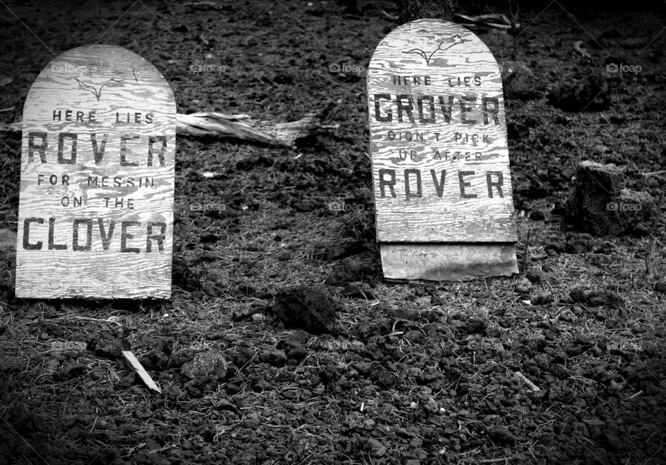 A couple of handmade humorous tombstones for Halloween decorations. 