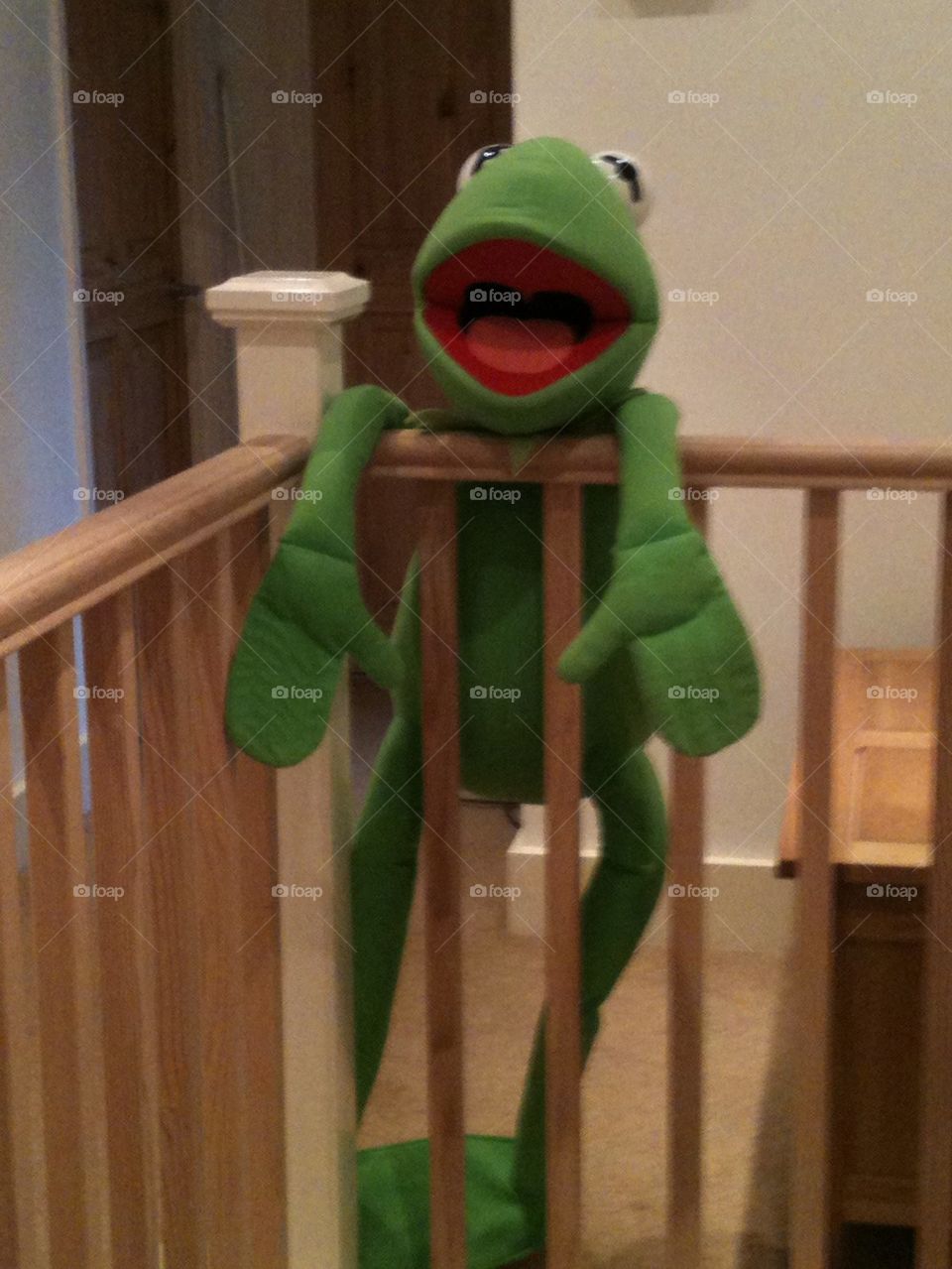Kermit having fun!
