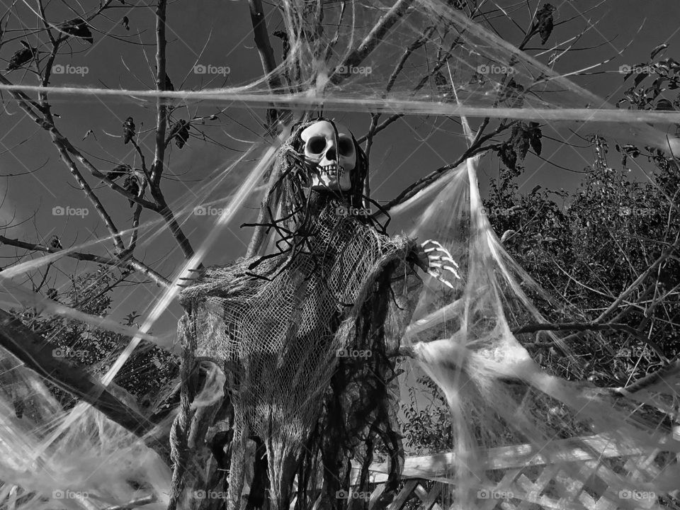 Oh well Halloween and Aye Captain ...happy it’s over...