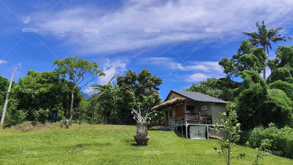 beautiful landscape with a tree and a blue sky