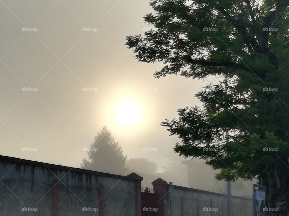 The sun against fog