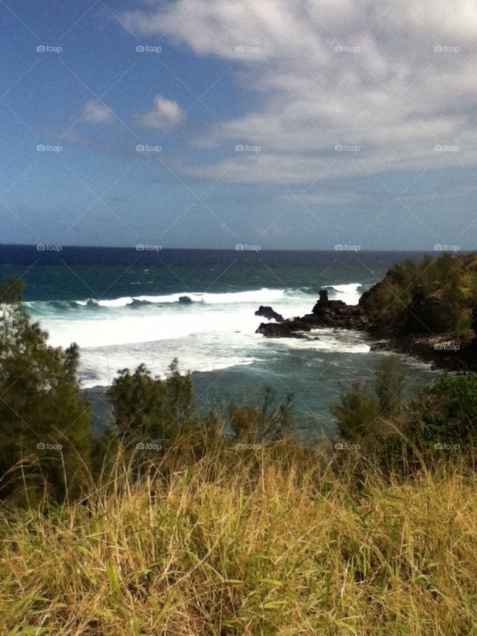 Mountain and ocean in Hawaii