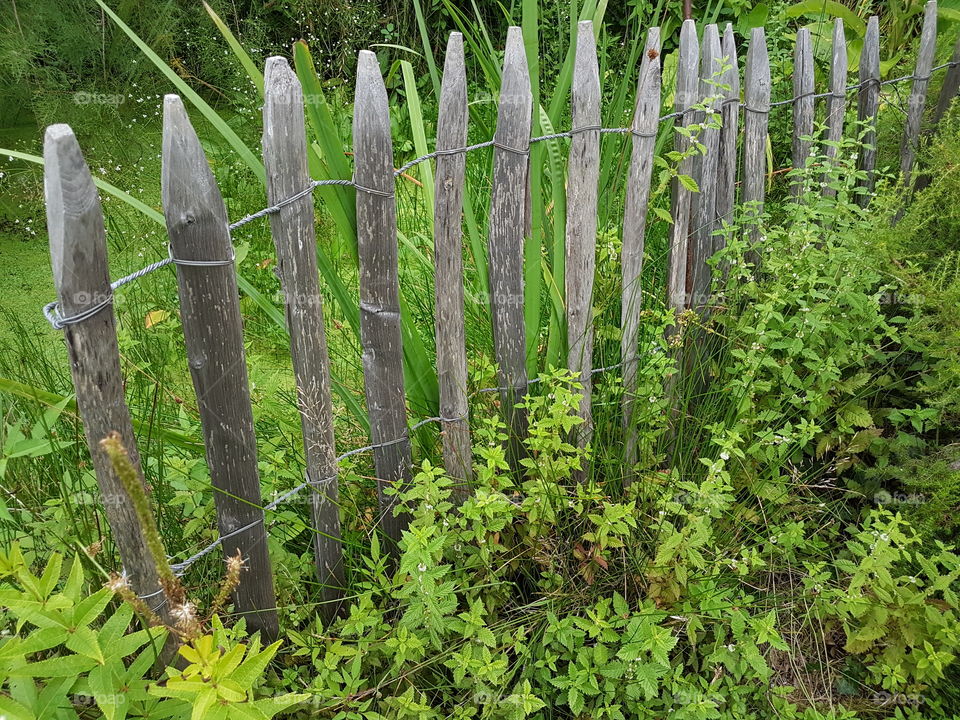 nice fence