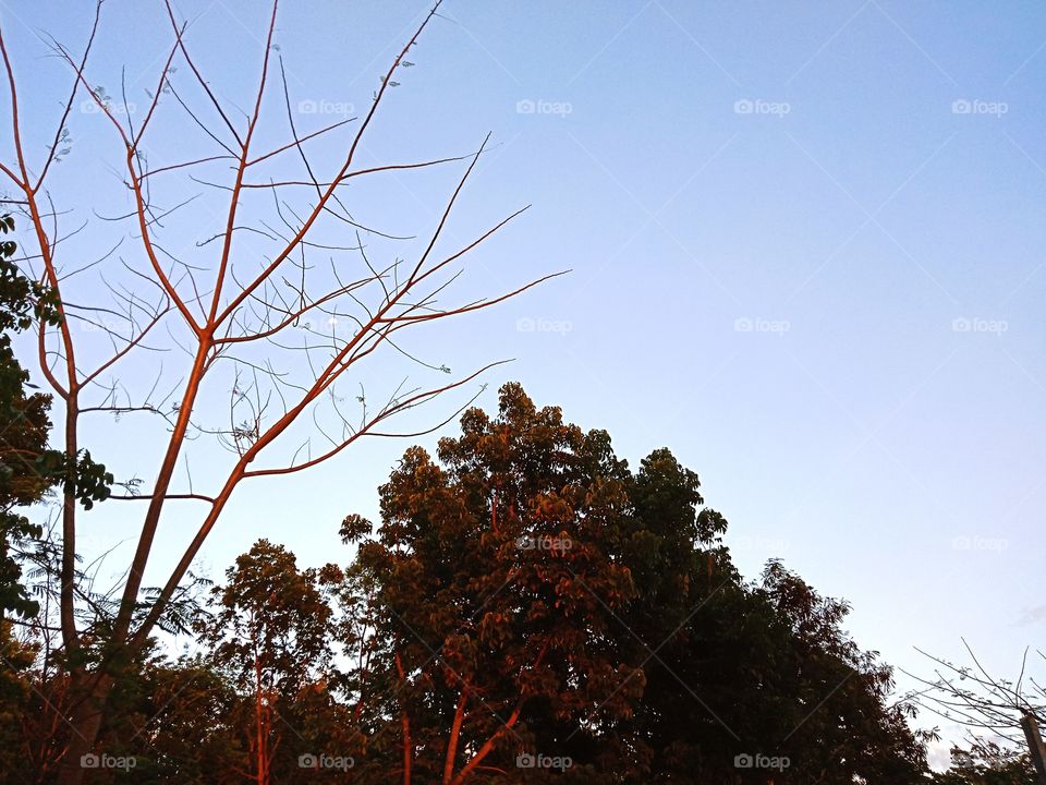 A beautiful afternoon waiting for sunset.