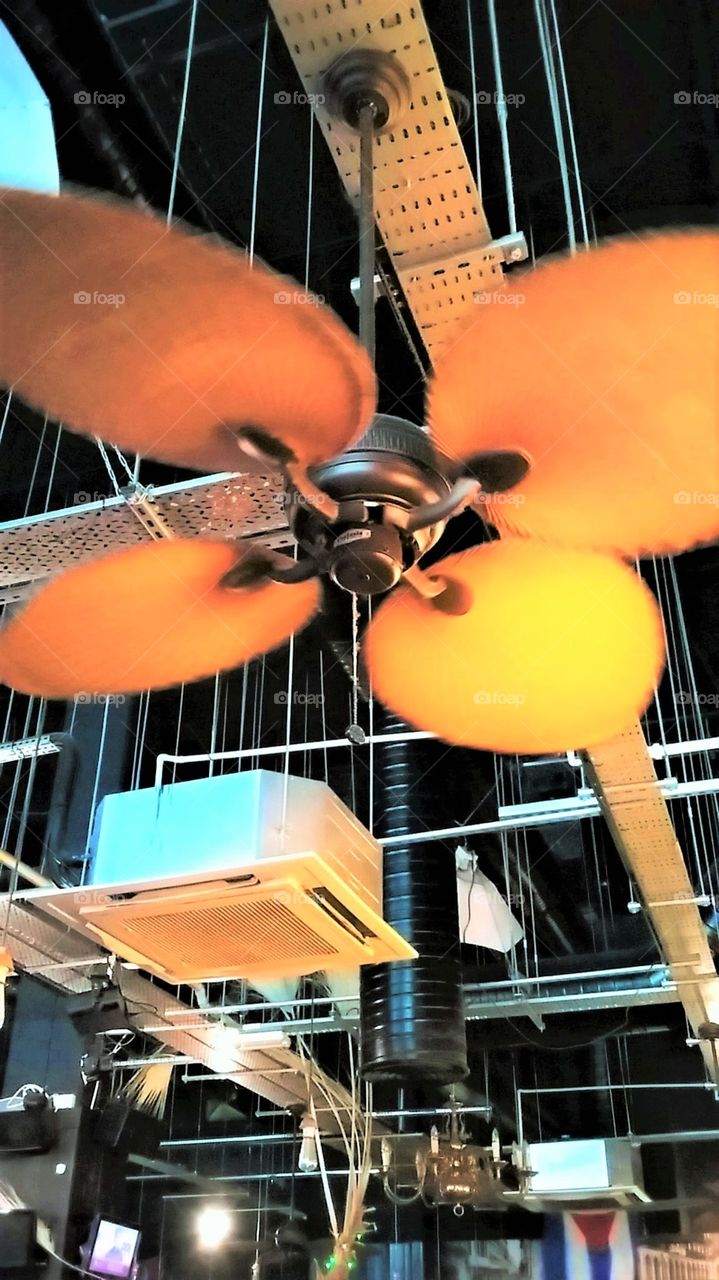 Ceiling Fan