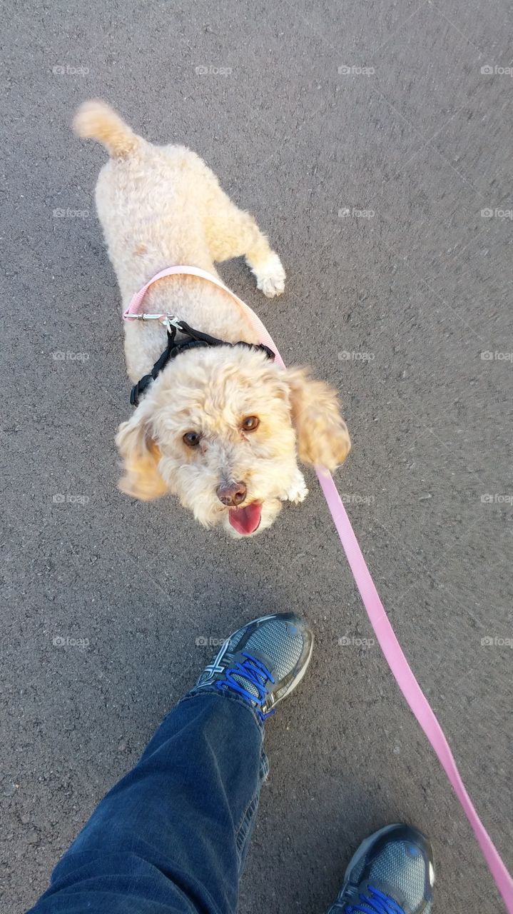 Taking a stroll with my pal