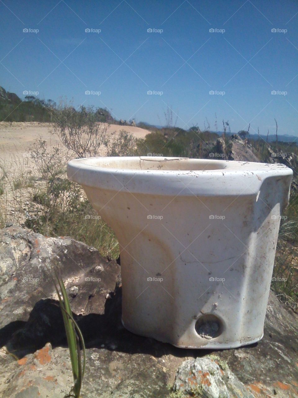 no meio do caminho tinha um vaso. ..