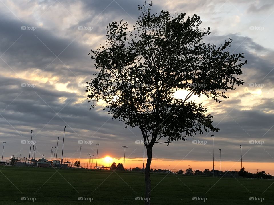 Beautiful and vibrant sunset in USA