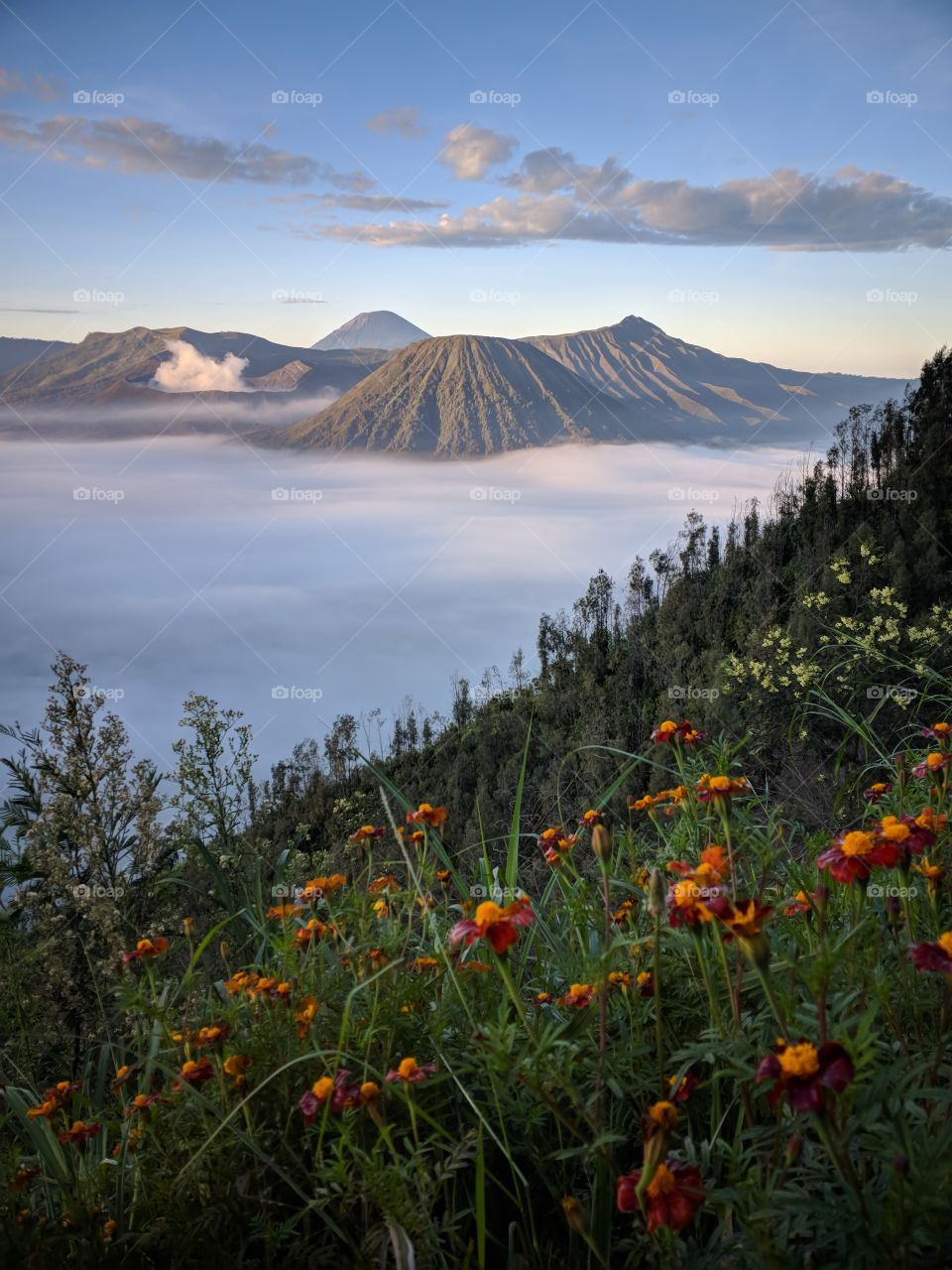 mount bromo