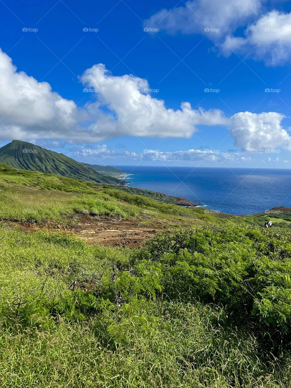 Beautiful view along the coast of Oahu from Hanauma Bay Ridge Trail in Hawaii Kai